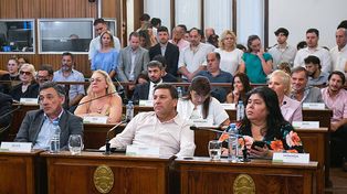 Reforma Fiscal: senadores opositores presentarán cambios