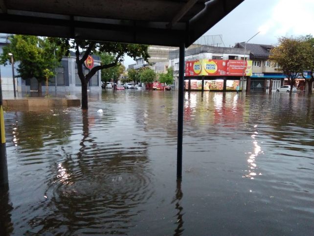 Pereira cruzó a Jatón y dijo que el municipio no cumplió con los protocolos de emergencia