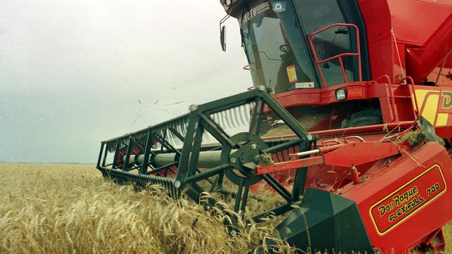 Movimiento. En el décimo mes del año se triplicaron las ventas respecto de enero.&nbsp;Octubre cerró con el nivel de ventas más alto de los últimos cuatro años.&nbsp;