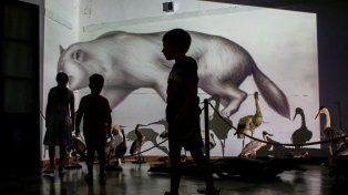 Una visita guiada permitirá conocer el patrimonio oculto del Museo Serrano