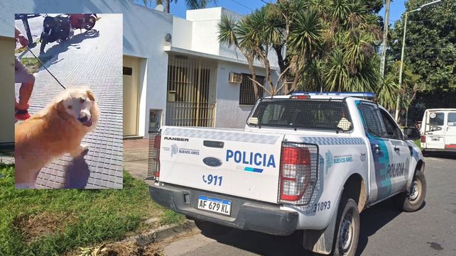 Una mujer fue demorada en una comisaria de La Plata por intentar faenar su perro en una carnicería
