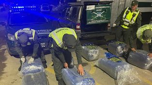 Imputan a once gendarmes por vender hojas de coca incautada en el peaje de General Lagos