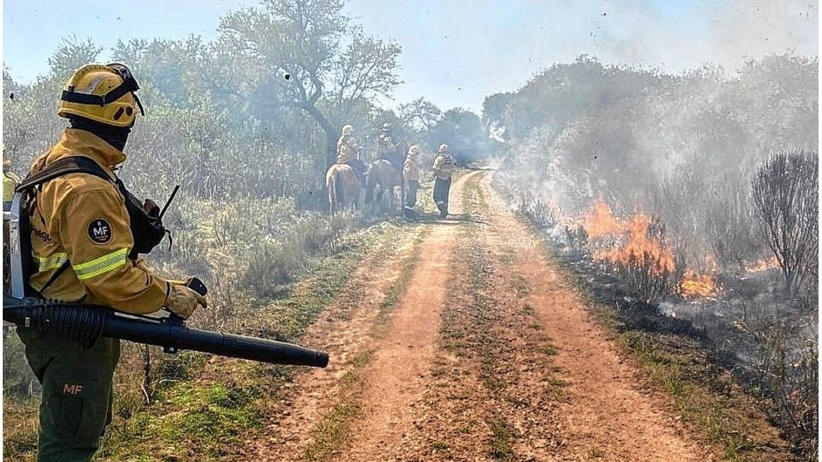 Bomberos Voluntarios celebran hoy su día con vocación y compromiso