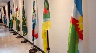 Entre Ríos celebra su diversidad con una exposición de banderas