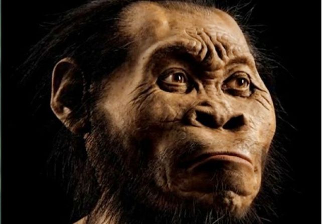 Descubren un nuevo antepasado del hombre en Sudáfrica: el Homo naledi