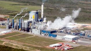 Denunciaron a la papelera Botnia-UPM por emisión descontrolada de gases