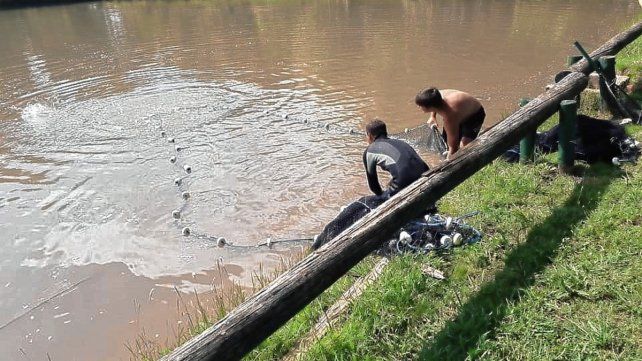 Acuicultura: en Entre Ríos apuntan a producir a mayor escala