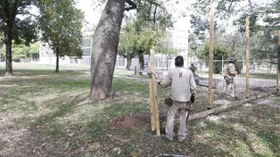 Otra obra en el Parque Independencia: ahora harán un gimnasio para el Isef