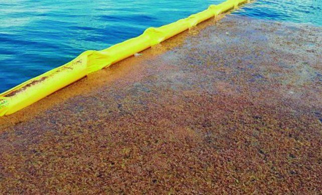 Estas barreras permiten retener el sargazo u otras algas&nbsp;mientras que dejan pasar el agua a través suyo mediante su red.