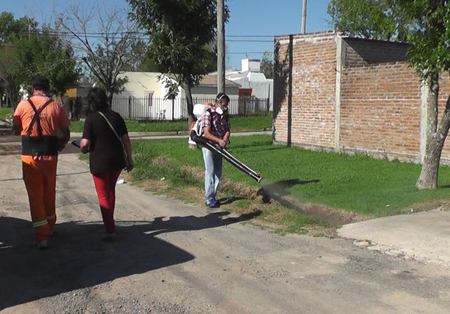 Se realizó un bloqueo epidemiológico por un posible caso de dengue en ...