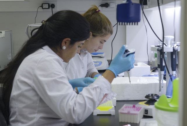 Un equipo de profesionales trabaja para obtener información de las muestras tomadas entre personas de Rosario y ciudades cercanas. &nbsp;