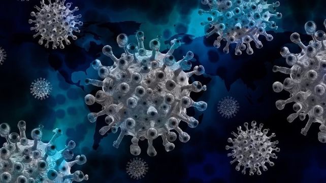 El linaje BA.1 de la variante Ómicron continúa siendo el de mayor circulación en el país