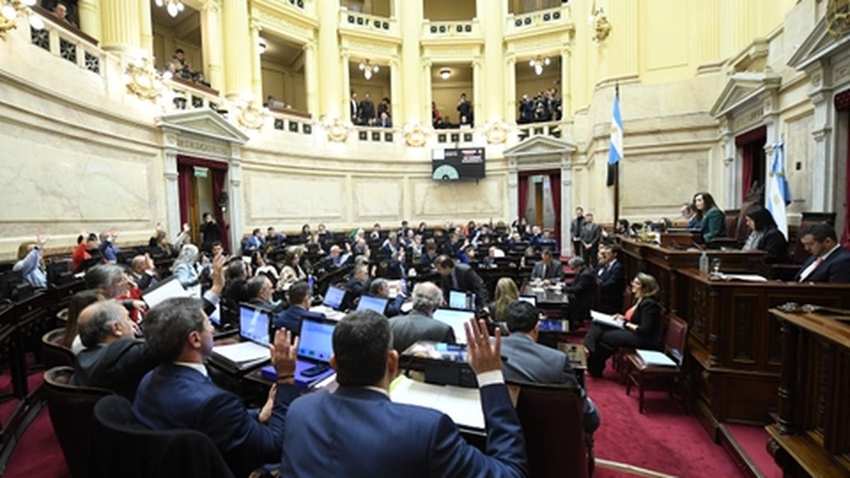 El oficialismo avanzó en el Senado para suspender las Paso