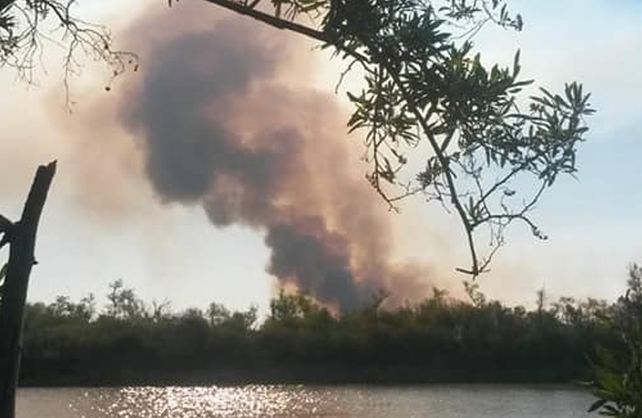 Imágenes de incendios en la zona de la costa santafesina