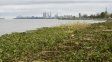 Los clubes de la costa se preparan para la llegada de El Niño