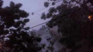 El  intenso temporal de lluvia y viento dejó árboles caídos y cortes de luz