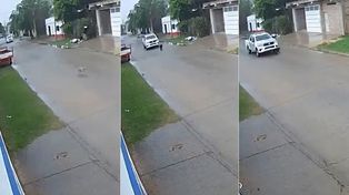 Policías de Corrientes atropellaron un perro en forma intencional. El caso se encuadra en un delito previsto en la llamada Ley de Maltrato Animal, N° 14.346