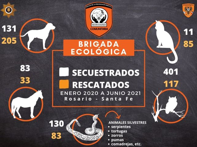 Registro de secuestros y rescates en los últimos 17 meses de la Brigada Ecológica ed la Policía Comunitaria.