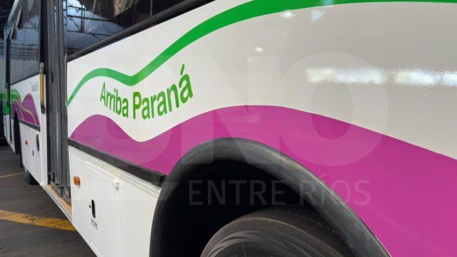 La nueva empresa de colectivos recibió más de 320 currículums en pocos días.
