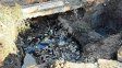 Detectaron gran cantidad de basura en reservorios, desagües y canales a cielo abierto de la ciudad