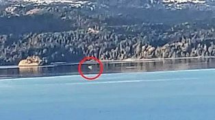 Reaparició Nahuelito: graban una misteriosa silueta en el lago Nahuel Huapi