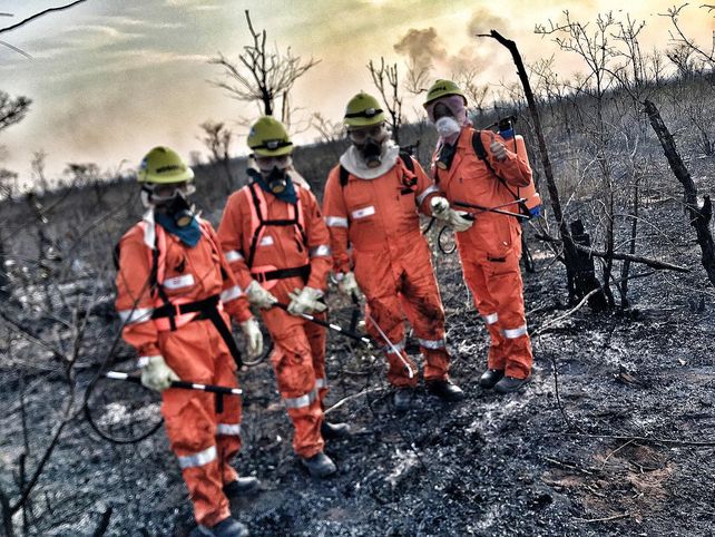 La llama de la solidaridad los llevó a luchar contra el fuego del Amazonas