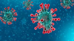 ¿Qué es el coronavirus?