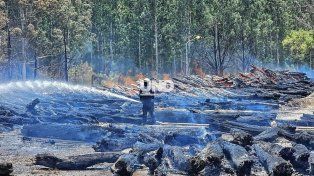 Brigadistas santafesinos lograron controlar el voraz incendio en Capitán Bermúdez