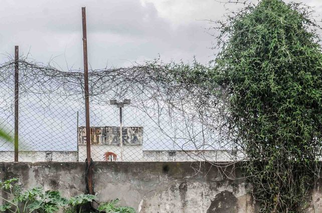 Altos. La presencia de los altos pastizales alcanza para cubrir una importante parte de la vereda sobre calle San Jerónimo