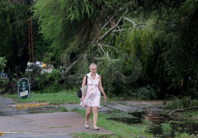 Muy poca gente se vio en las calles