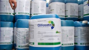 Agrotóxicos: otro intento para frenar el uso indiscriminado de este producto químico