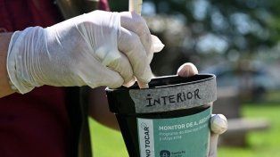 Sin casos de dengue pero con mosquitos: el mapa de los 33 barrios de Santa Fe con ovitrampas positivas