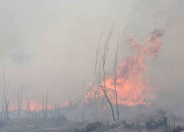 Sin sanción. La causa penal se inició hace casi dos años cuando el fuego arrasó miles de hectáreas en el delta.