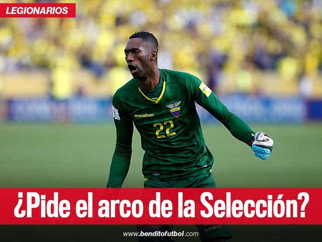 En Ecuador ya piden a Alexander Domínguez para el arco de la Selección