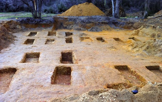 Horror. El cementerio del viejo reformatorio de la ciudad de Marianna.