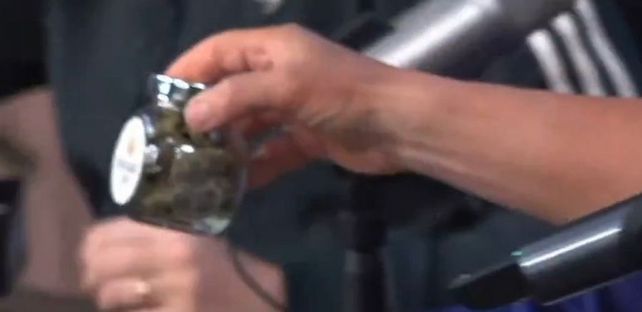 Daniel Lipovetzky le llevó flores de marihuana como regalo al streamer Tomás Rebord