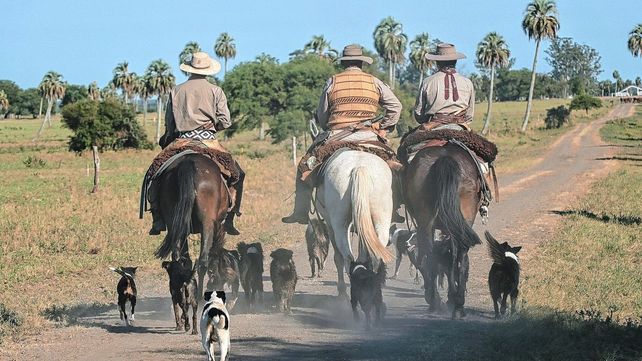 El Parque Nacional Selva de Montiel, más cerca de ser una realidad