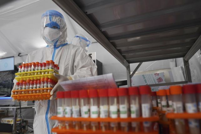 Coronavirus: informaron 733 muertes en 24 horas, la segunda cifra más alta desde que comenzó la pandemia