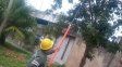 Plan de Poda: la Municipalidad de Santa Fe comenzó con los trabajos en distintos barrios de Santa Fe