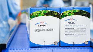 El mercado de insumos biológicos para la agricultura en Argentina se estima en u$s &nbsp;80 millones.