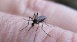 Se produjo la primera muerte por dengue en la provincia en 2024