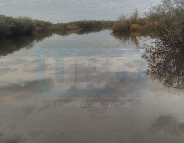 Vecinos de San José denunciaron mortandad de peces