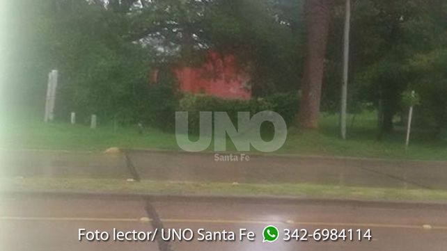 Maria Luisa Linares también compartió su foto de lluvia desde la ciudad de Esperanza: así estaba esta tarde Avenida Argentina. 