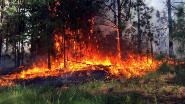 La provincia de Corrientes sufre nuevamente el fuego