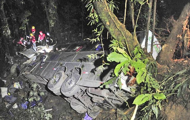 tragedia. El micro accidentado quedó entre los árboles