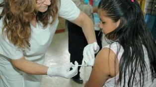 Ya se han aplicado 142 mil vacunas Hepatitis B en adultos