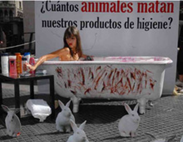 Denuncian que miles de animales mueren por a&ntilde;o en tests de empresas cosm&eacute;ticas