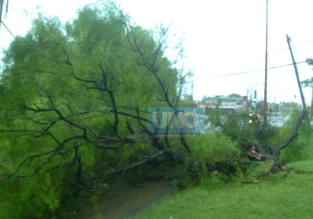 Terrible temporal de lluvia y viento generó graves destrozos en Paraná