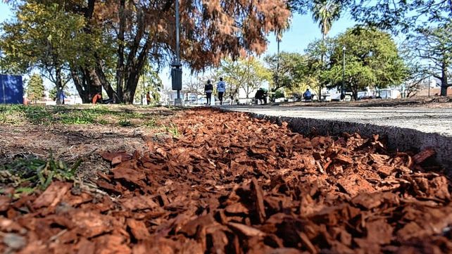 En Paraná reutilizan restos de podas en espacios públicos