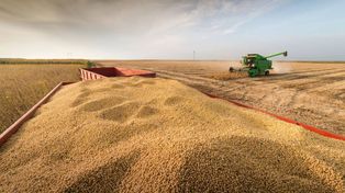 La producción agrícola 2023/24 crecería 40% impulsada por fenómeno de El Niño